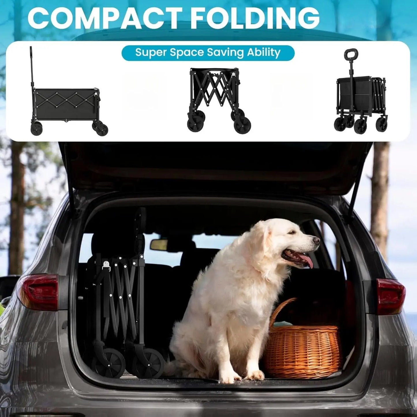 Collapsible Wagon Cart with Tailgate | Heavy Duty 350lbs Folding Utility Wagon